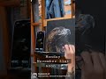 BIRDS OF PREY- Painting 2/3 #art #painting #acrylicpainting  #birdsofprey #eagle #wildlifeartist #fy