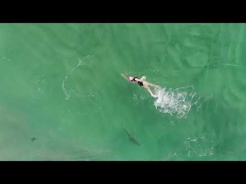 The Dronesharkapp crew ❤️