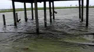 preview picture of video 'Ike storm surge, Slidell, Louisiana 2'