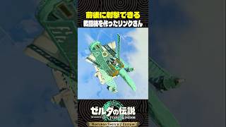 前後に射撃できる戦闘機を作ったリンクさん【ゼルダの伝説 ティアキン】