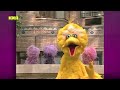 Sesame Street The Squirrelles Big Bird My Boyfriend S Back Front German