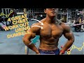 Workout for thick chest look