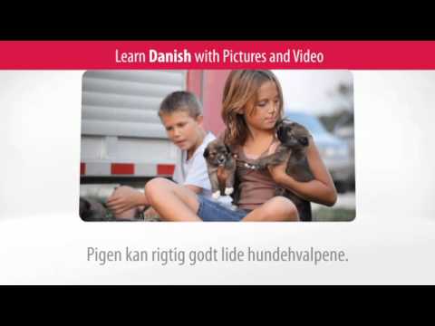 Learn Danish Vocabulary with Pictures and Video - Top 20 Danish Verbs 1