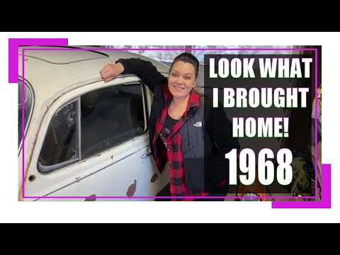 LOOK I got a 1968 #vwBeetle from the Abandoned VW Graveyard!
