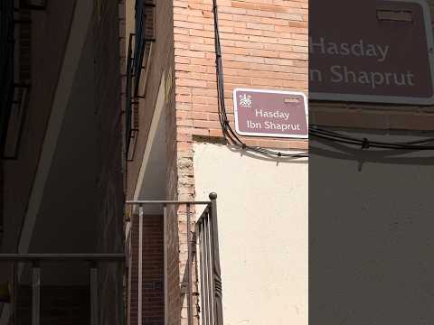 Nido de avispón oriental junto a San Basilio: ¿quién actúa si el propietario no aparece?.