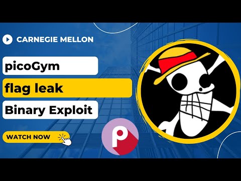 picoGym (picoCTF) Exercise: flag leak