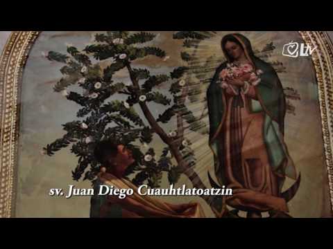 Katolički kalendar 9.12.2016. - Sv. Juan Diego Cuauhtlatoatzin