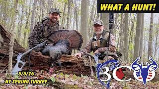 WINDY DAY GOBBLERS... 2 LONGBEARDS PUTTING ON A SHOW!