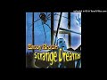 04. Strange Dream