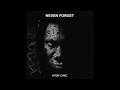 KRS One | Song: They're Taking Your Time | Hip Hop | USA | 2013
