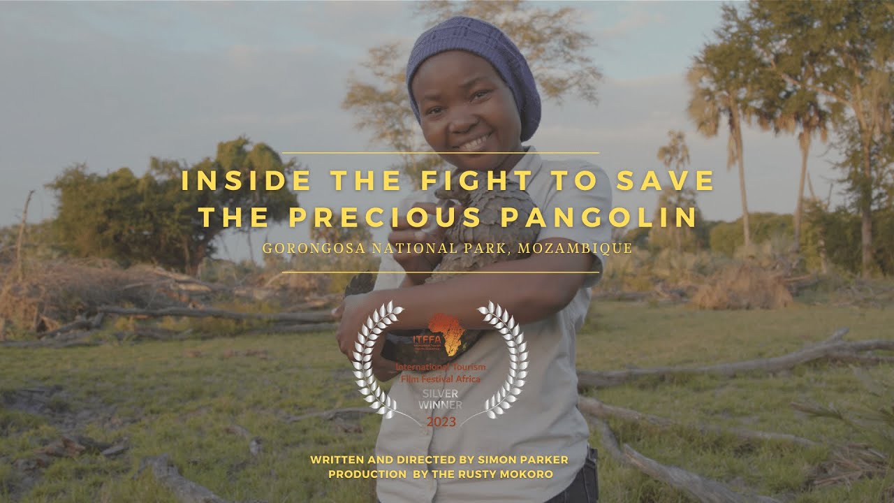 Gorongosa National Park, Mozambique: Inside the fight to save precious pangolins