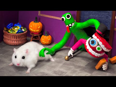 The Best Hamster Mazes - Hamster in Digital Circus 🤡 Rainbow Friends 🌈 Garten Of Banban