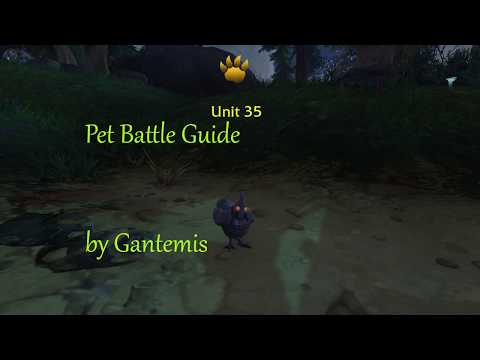 How to beat Unit 35 pet battle