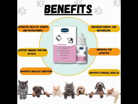 Aminopet Drops- Aniamor - Amino Acids And Multivitamin Drops- 30ml