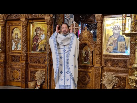 Duminica a 12-a după Rusalii; Tânărul bogat . Predica Pr. Adrian Chiriță - 04.09.2022