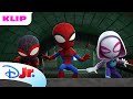 Film Monstret Spidey Og Hans Fantastiske Venner Disney Junior Danmark