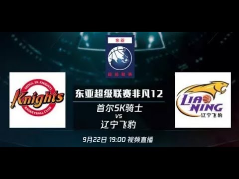 Stephenson Got MVP! Seoul SK Knights VS Liaoning Hengye Leopard Full Highlights! Final! Terrific 12!