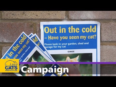 325productionsUK video.