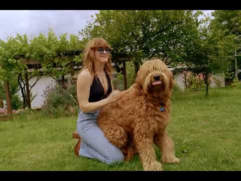 Daisy Kilbourne Whiskey Driven Official Film Clip