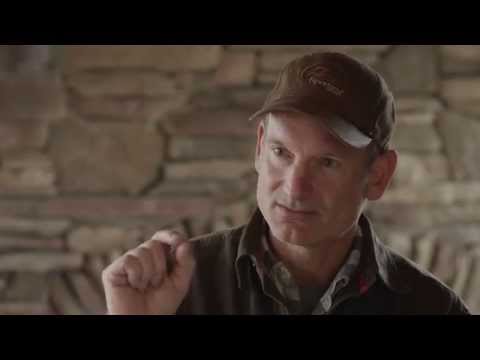 sportdog training video