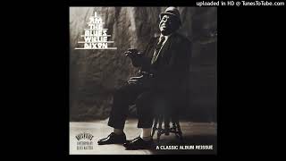 Willie Dixon - You Shook Me