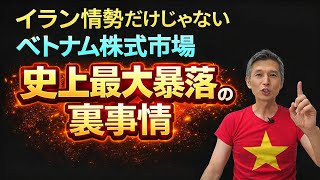 ベトナム株式市場史上最大大暴落の裏事情