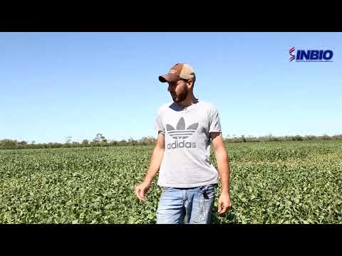 Productor de Mariscal Estigarribia, Boquerón