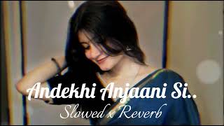Download lagu Andekhi Anjaani si | Slowed x Reverb | lofi song | lofi version | mind refresh | mp3