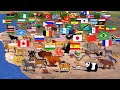 National Animals Comparison: with Country Flags and Geographic Maps