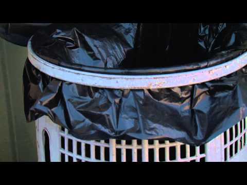 Boom versus vuilnisbak