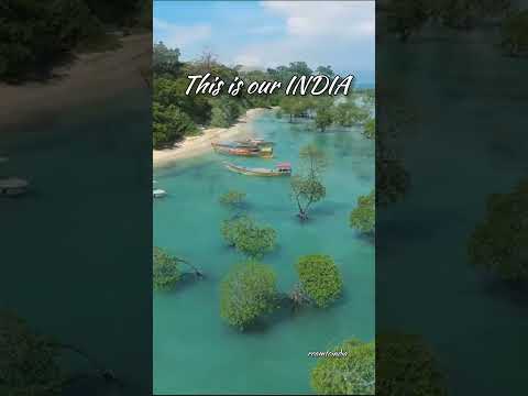 Neil Island, Andaman | White Sand Beaches | Scuba Diving #ExploreIndia #indianbeaches #shorts