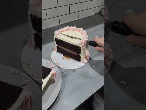 How to Cut a birthday cake correctly - cutting a cake #cuttingcake #howto #cakebake #cake #cakeslice