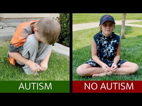 image-How many children diagnosed with autism? 