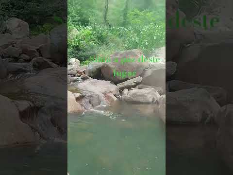 A Paz em Canudos do Vale RS