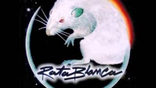 Rata blanca-vuelo nocturno
