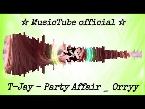 T Jay   Party Affair   Orryy visualization