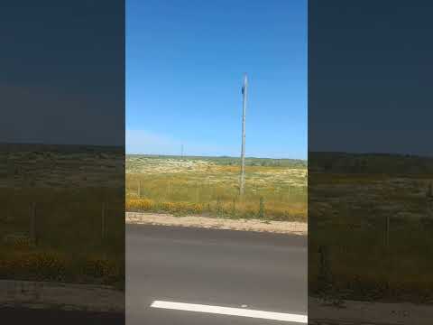 PARADA TECNICA .CASTELLANOS CANELONES URUGUAY #patria #viajes #ruta