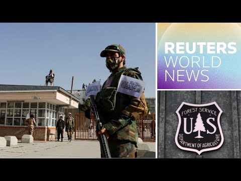 阿富汗難民、森林大火和南極洲 (Afghan evacuees, forest fires and Antarctica)