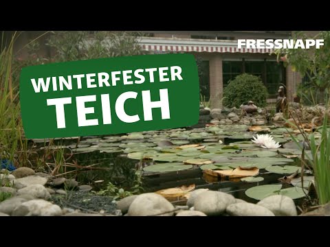 So macht ihr den Teich winterfest
