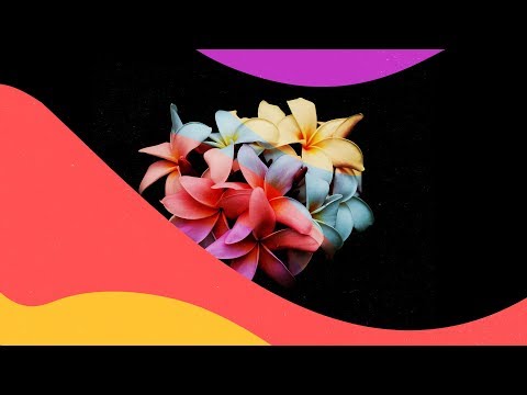 Frank Pole feat. Vitø - Work This Out