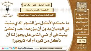 215ما حكم الأكل من الشجر الذي ينبت في الوديان بدون أن يزرعه أحد ولكن ينبت ...؟الشيخ عبدالله الغديان image