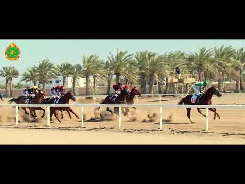 الشوط الرابع- السباق السابع عشر - Race 4 17th meeting