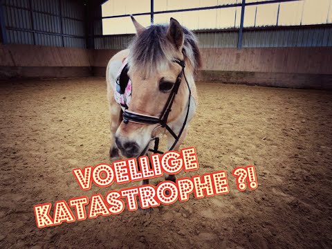 FEE LÄUFT WIE EINE GIRAFFE 🦒 😂 | ICH BIN TOTAL ANGESPANNT 😑