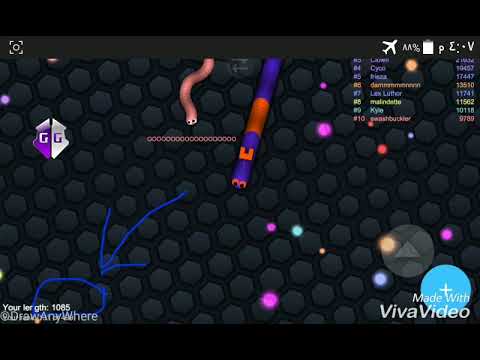 slither.io A permanent life