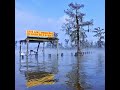 C&EN Uncovered: The battle for Lake Maurepas