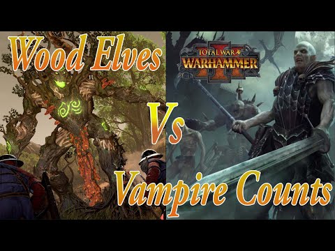 Wood Elves Vs Vampire Counts Cinematic Battle Replay Warhammer 3