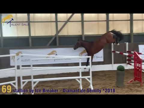 69 stallion by Ice Breaker - Diamant de Semilly 2018