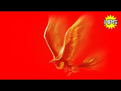 HoN Pro Gameplay Forsaken Archer - 650 GPM - 887 XPM - InsaneOasis