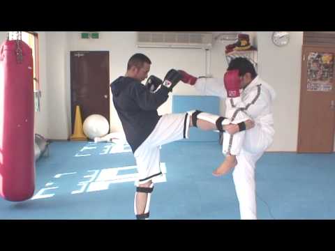 総合格闘技の基本13　ミドルキックに対する防御