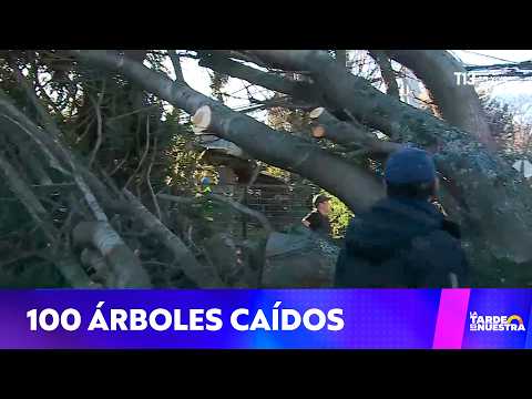 Vientos sobre 100 km/h: Emiten alerta roja en Pucón y Villarrica tras temporal